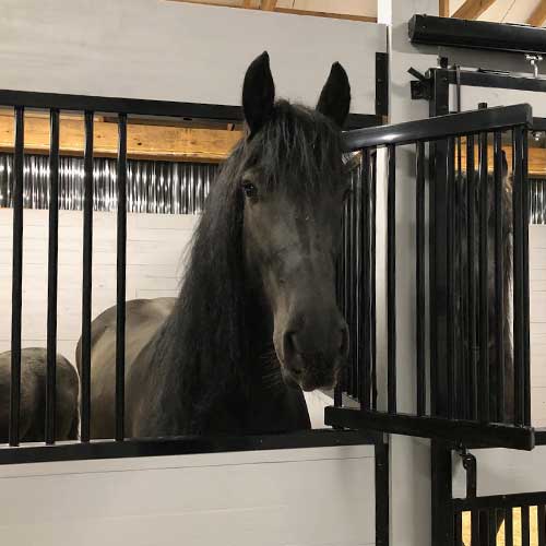 Feed Door Kit RAMM Stalls