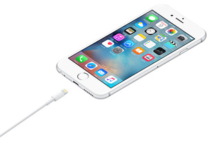 Lightning-Naar-Usb-Kabel (2 M) - Apple (Nl)