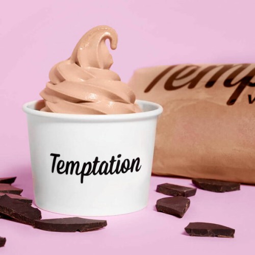 Temptation Vegan Home & Commercial Ice Cream Mix (vanilla or chocolate)
