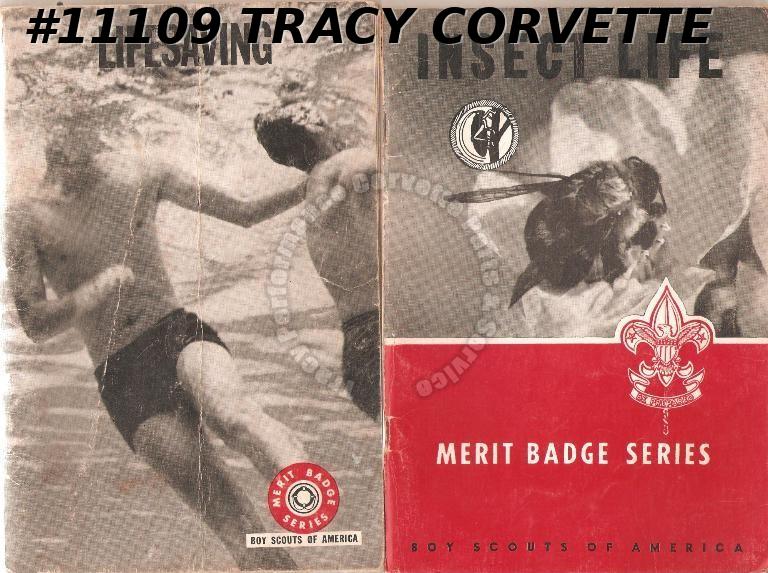 Boy Scouts of America Merit Badge Series Insect Life 1965 Lifesaving
