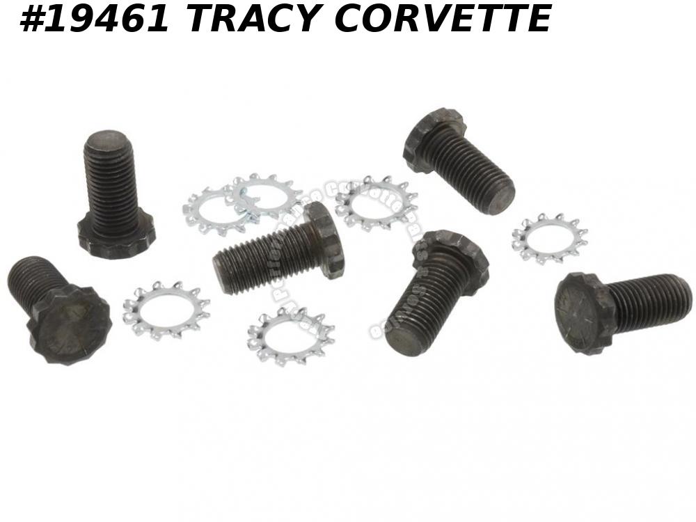 19561981 Corvette Flywheel Bolt Set To Crankshaft Tracy