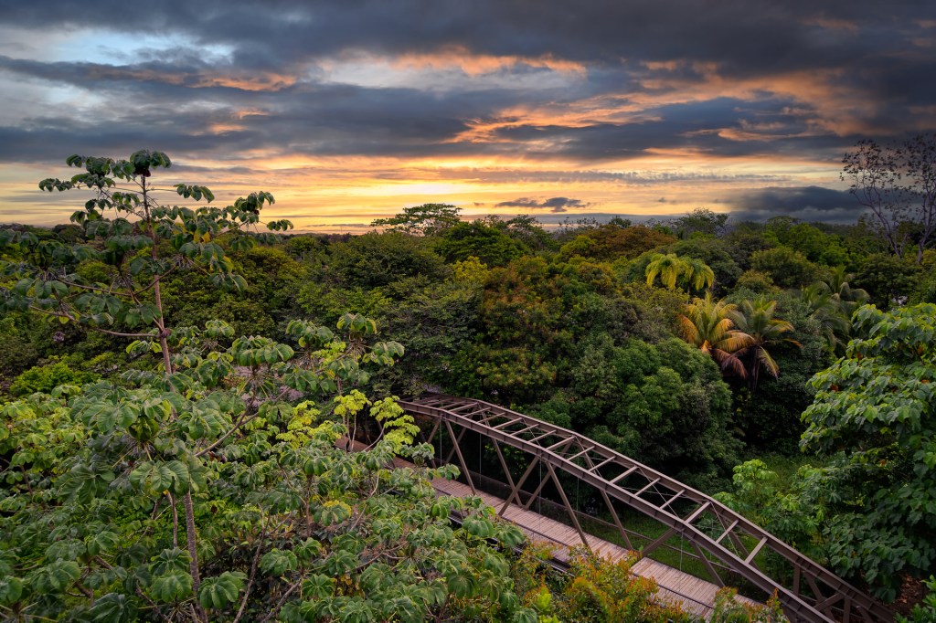 Botánika Osa Peninsula, Curio Collection by Hilton, Opens in Costa Rica