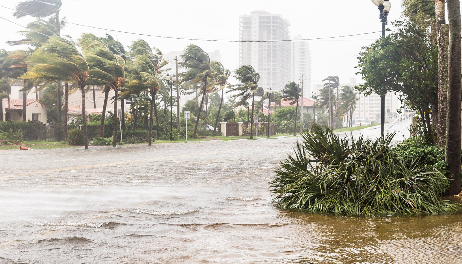 Cost of Florida Flood Insurance & How Coverage Works