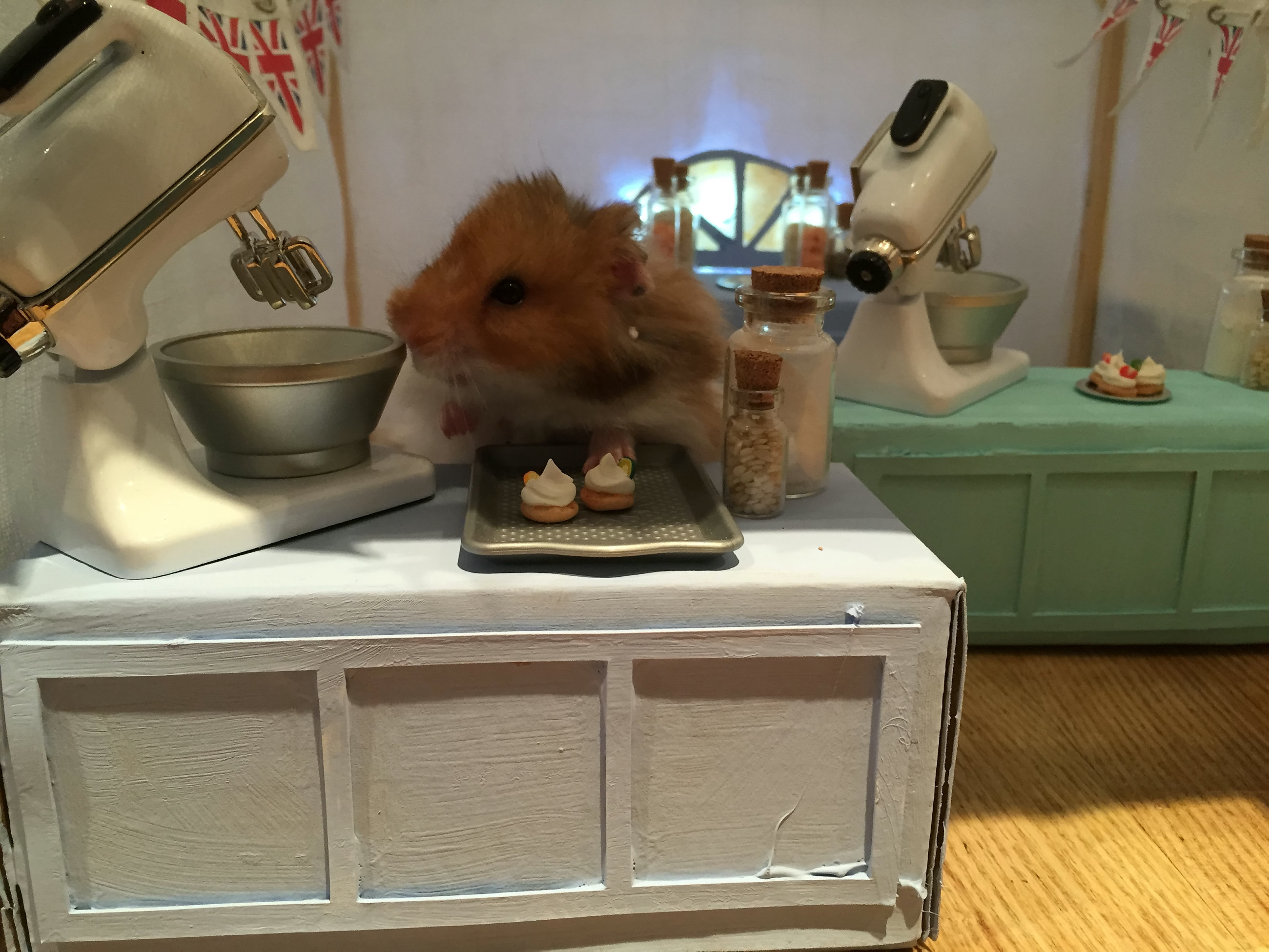 Pet owner builds amazing Great British Bake Off tent for her HAMSTERS