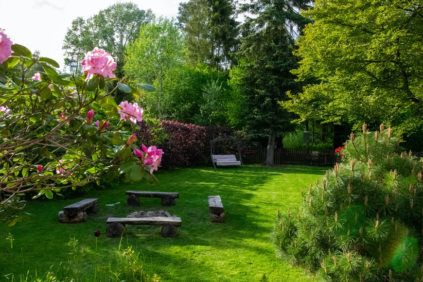 How To Get Rid Of Bad Smell In Yard at Clayton Carpenter blog