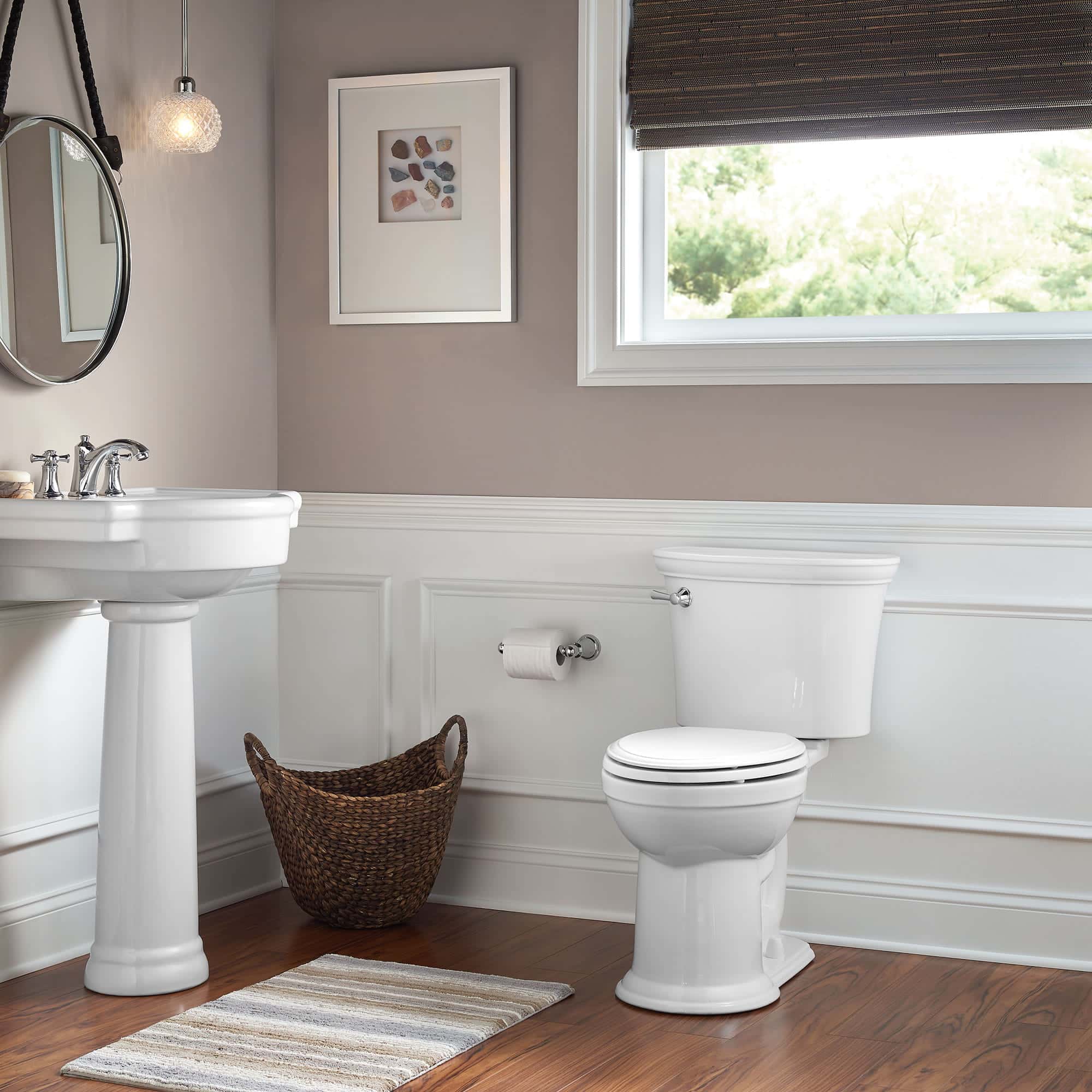 American Standard Esteem Vormax Problems