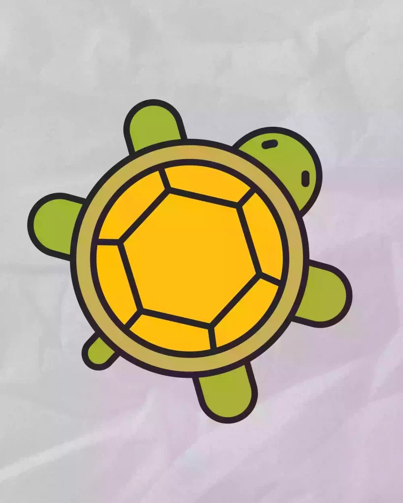 How To Draw Turtle Step By Step Storiespub