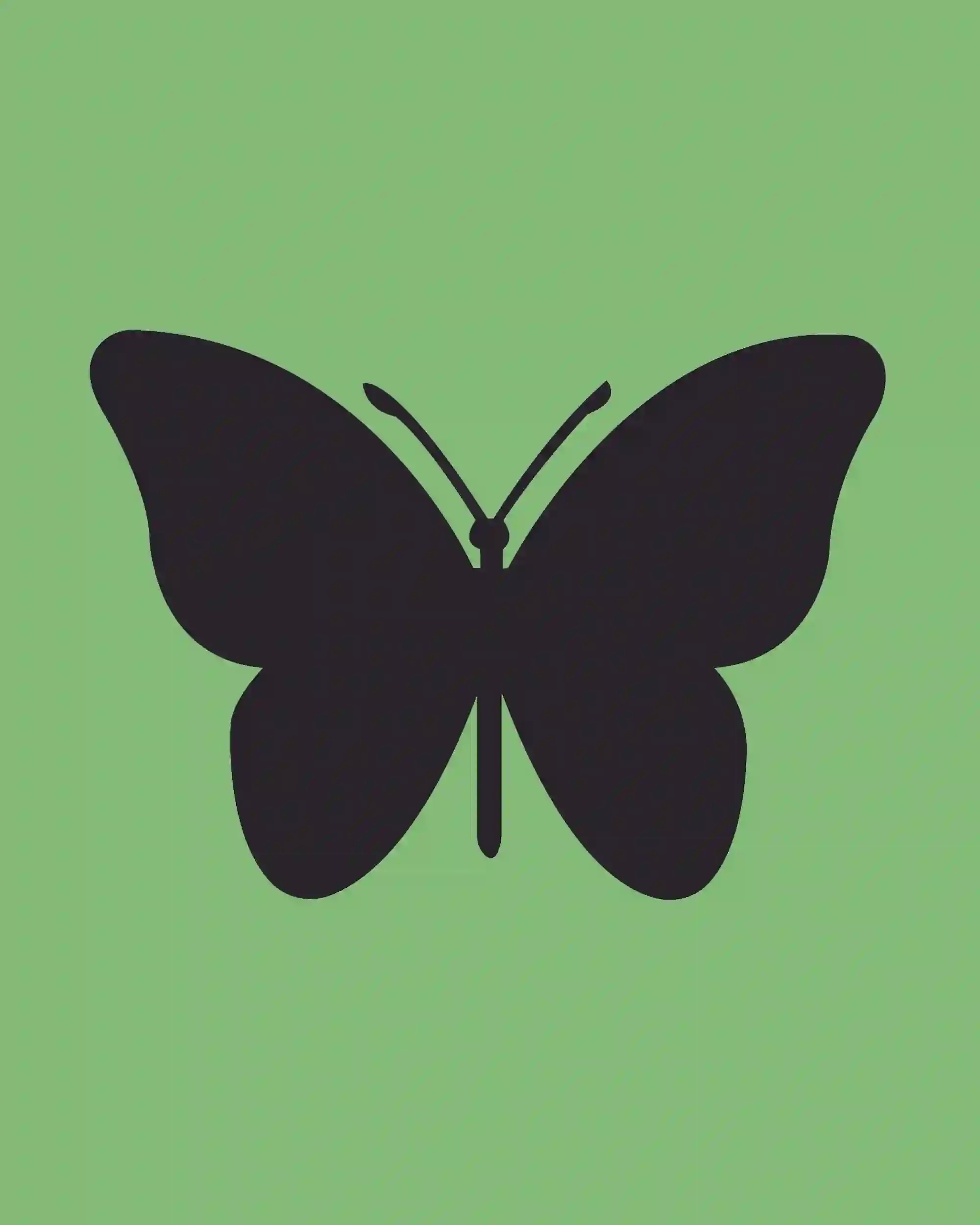 How To Draw A Butterfly Step By Step Guide Storiespub