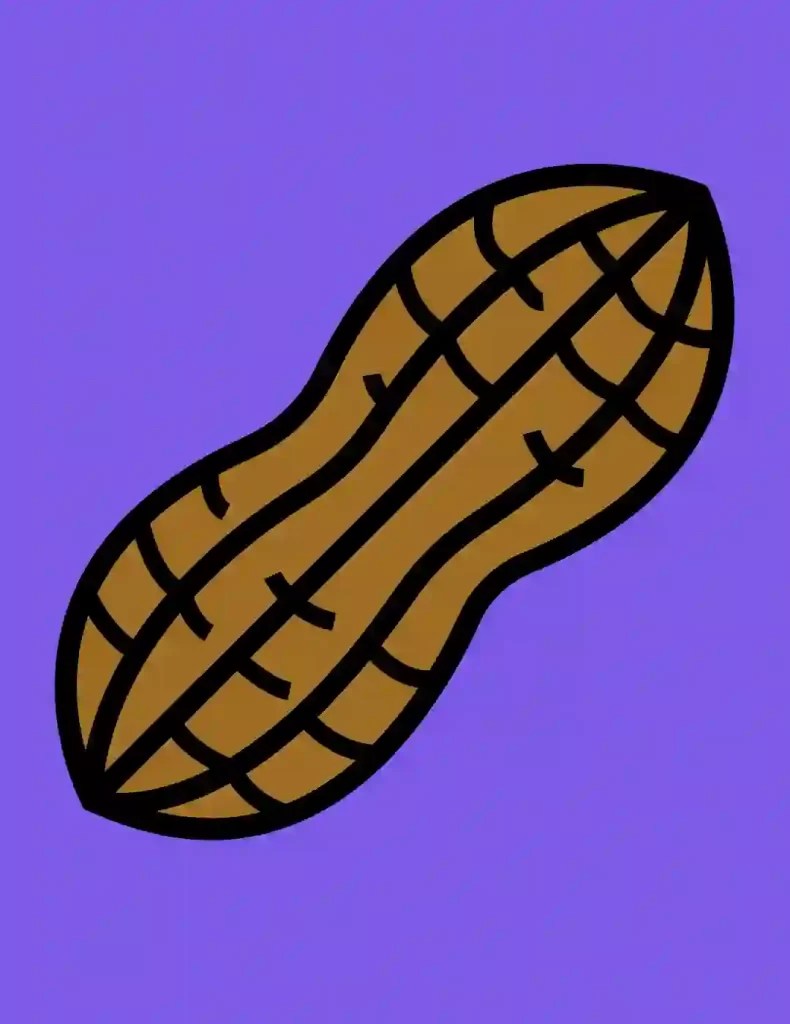 How To Draw Nuts A To Z Alphabet Drawing Storiespub