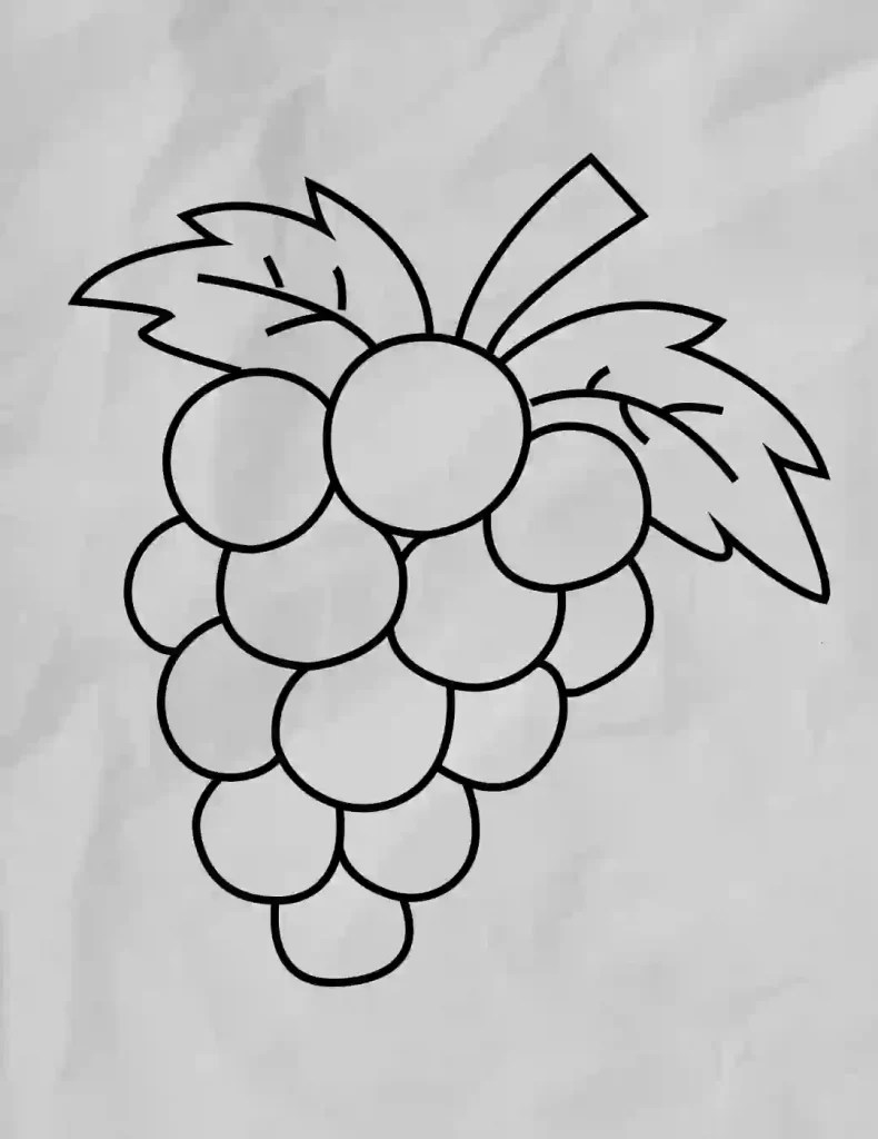 How To Draw Grapes A To Z Alphabet Drawing Storiespub