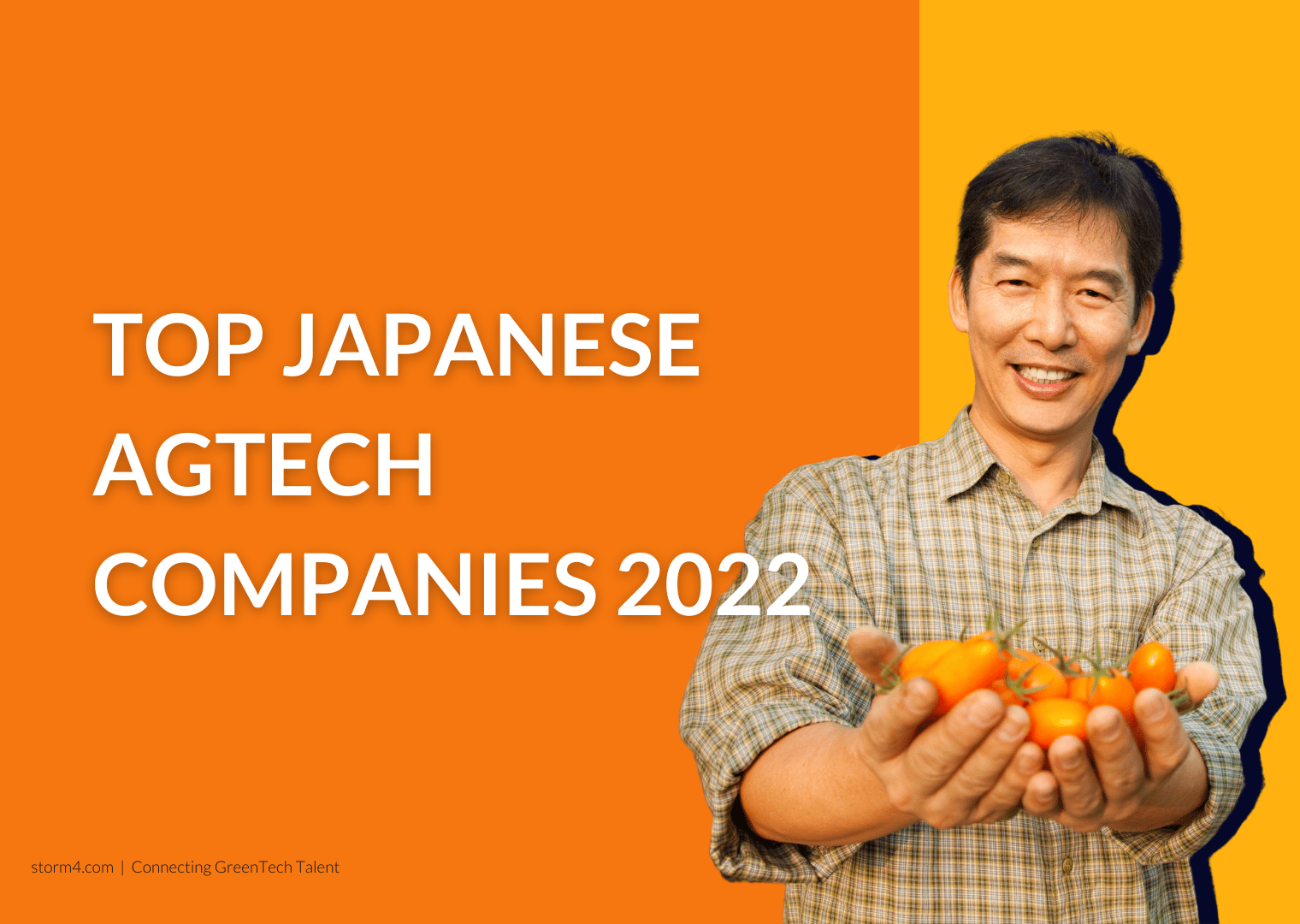 Top Japanese AgTech Companies 2022 Storm4
