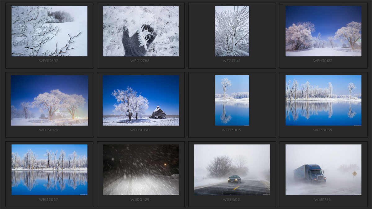 Photography, Camera and Processing Tutorial
