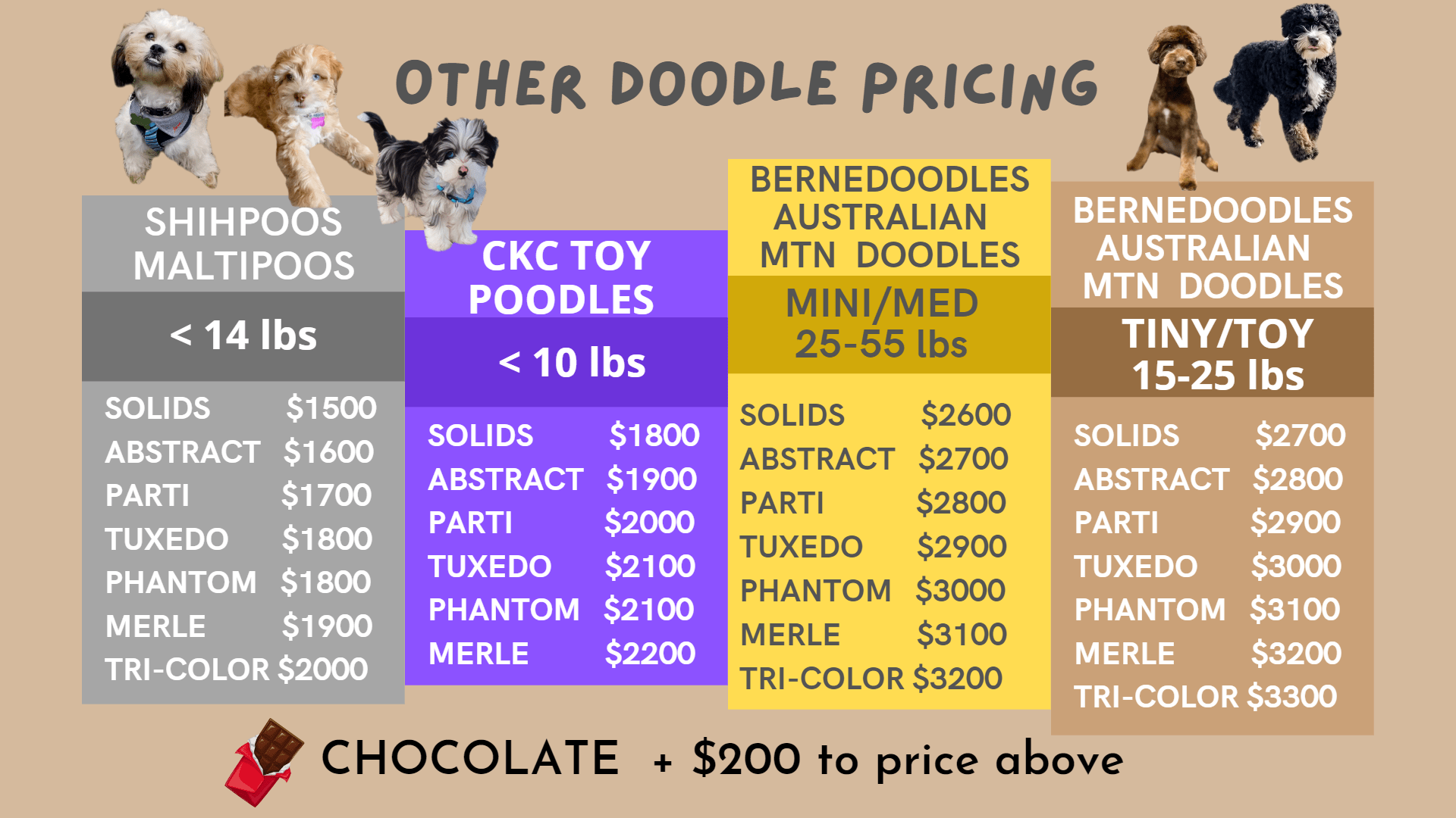 Planned Litters Stormie’s Doodles