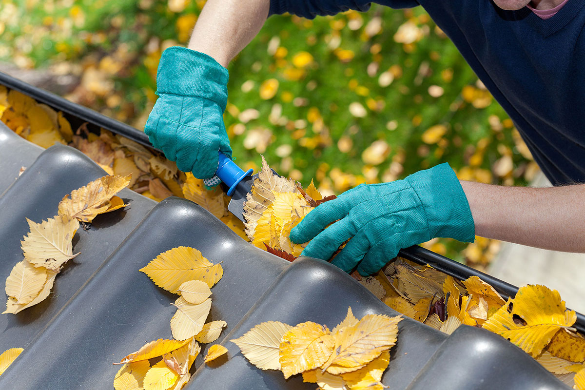 5 Tips for Handling a Clogged Gutter Storm Master Gutters