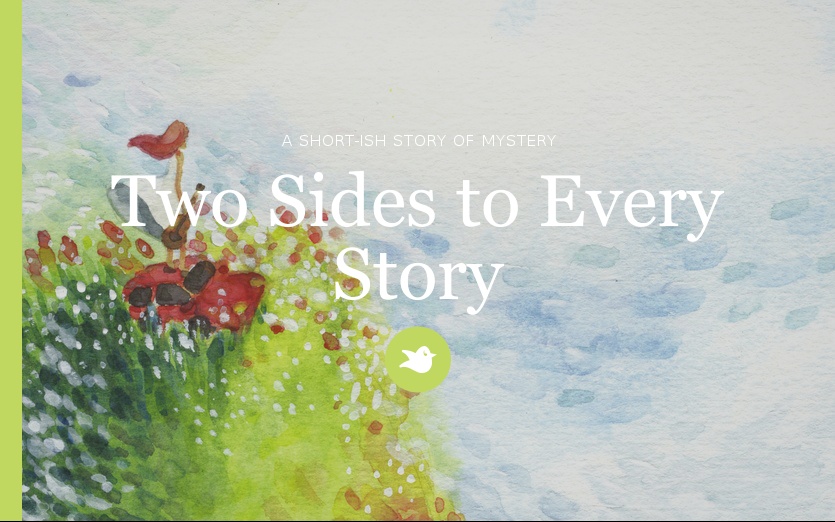 Two Sides to Every Story by VanessaStone Storybird