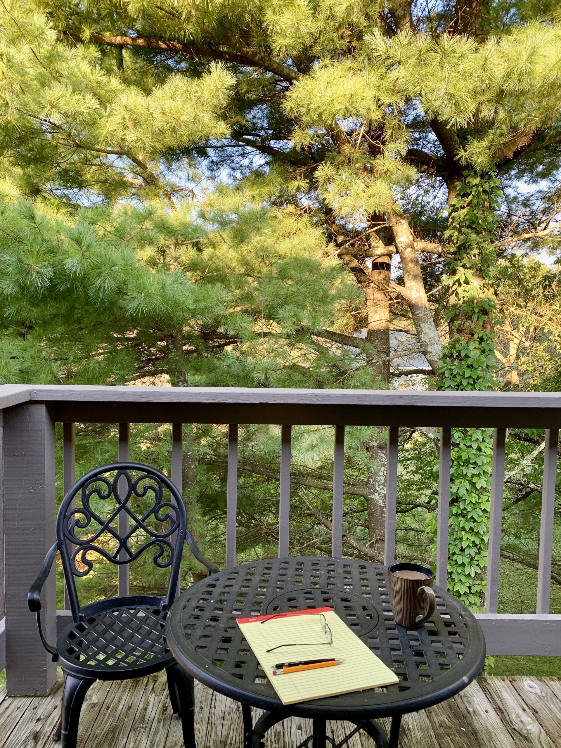 View of trees from a patio in North Carolina