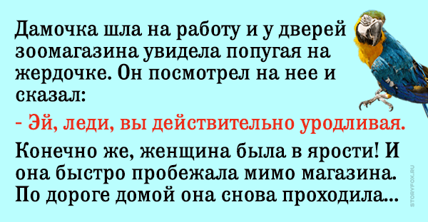 Она была в шоке, когда попугай назвал ее уродливой, и решила принять меры…