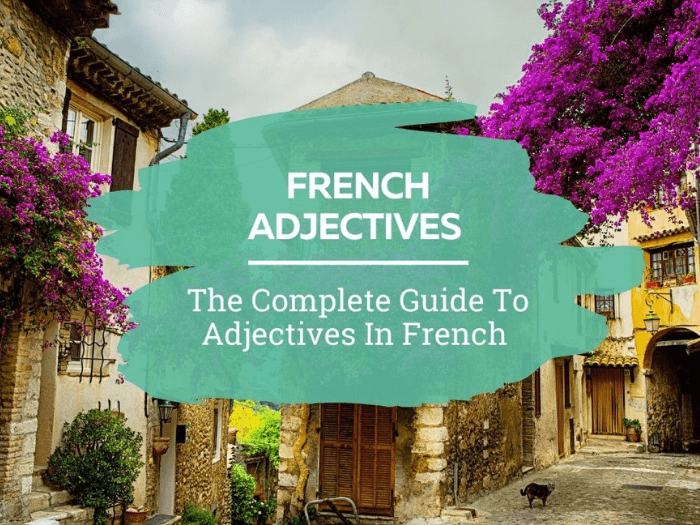 French Adjectives A Complete Guide To Using Them Correctly