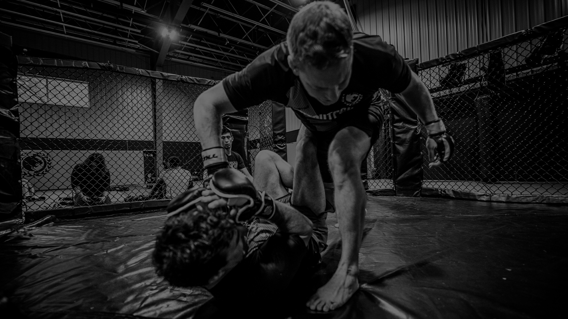 MMA Location Selection Stout Training Stout Training