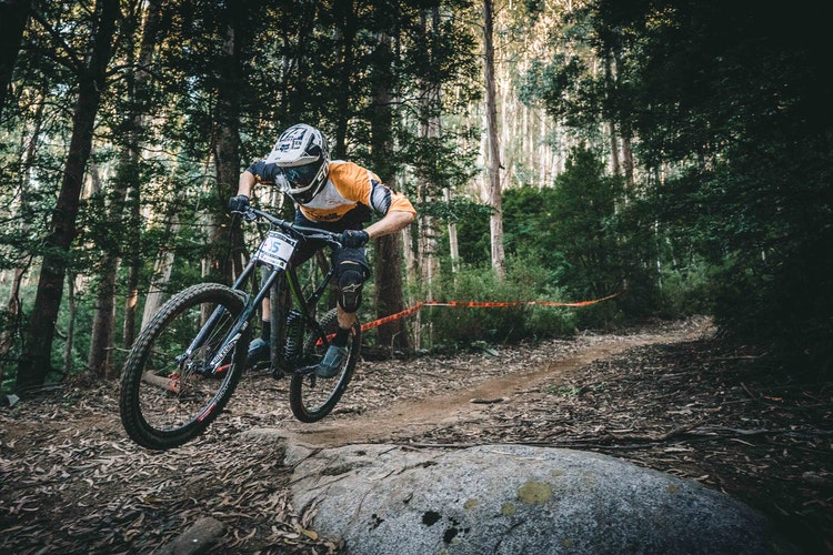 Four Points Stowe Mountain Biking in Stowe Vermont Stowe Country Homes