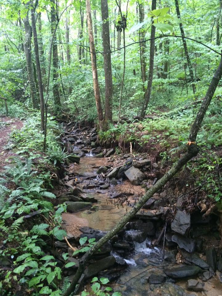Sassafras Nature Preserve Southeastern Trust for Parks and Land