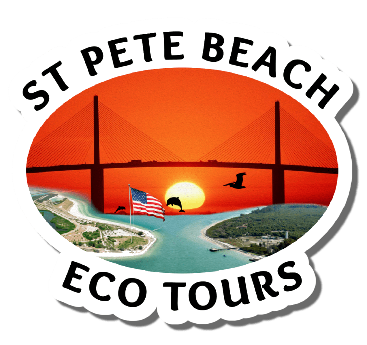Home St Pete Beach Eco Tours