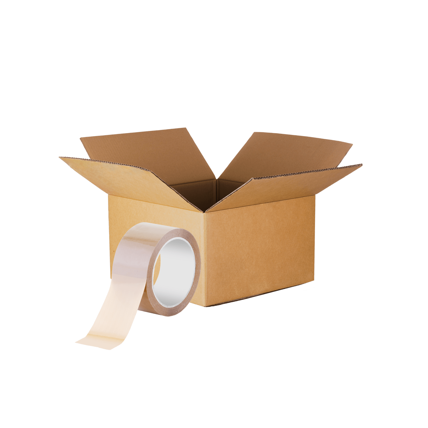 St Pete Paper and Packaging Our Products