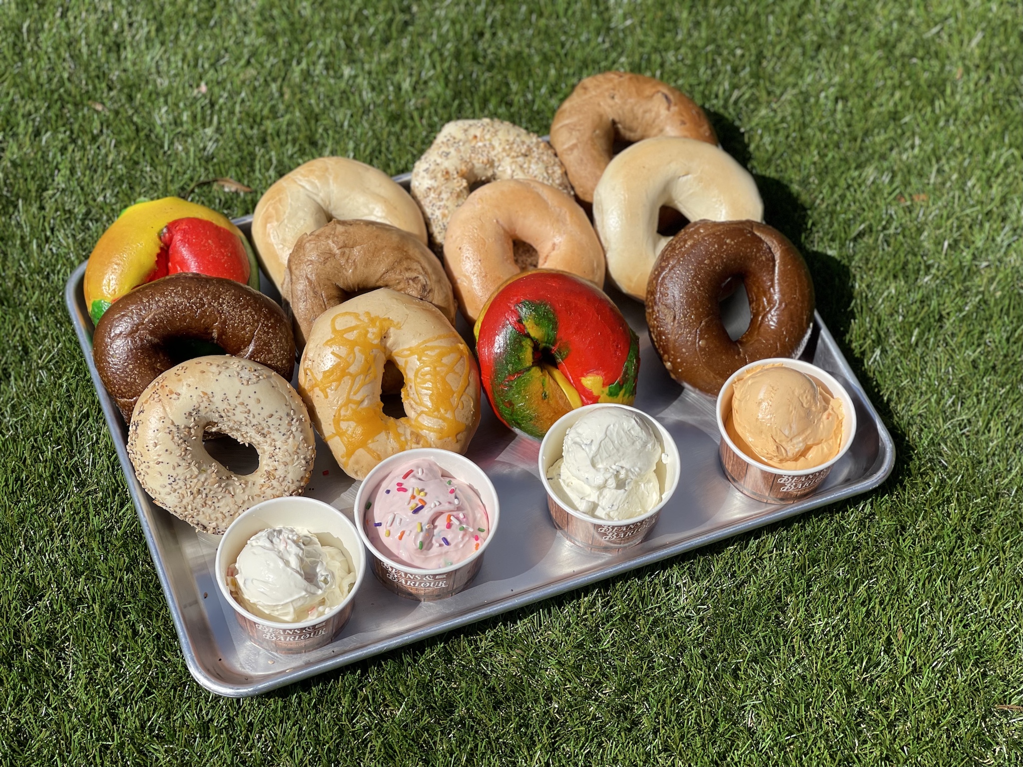 hale life bakery downtown st pete Cristine Shipp