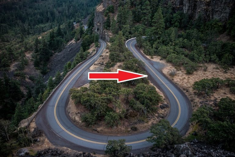 Shortcut Sandberg Translation Partners