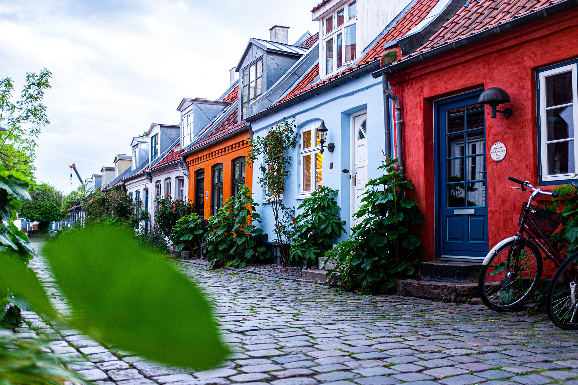 4 facts about the Danish language(08)