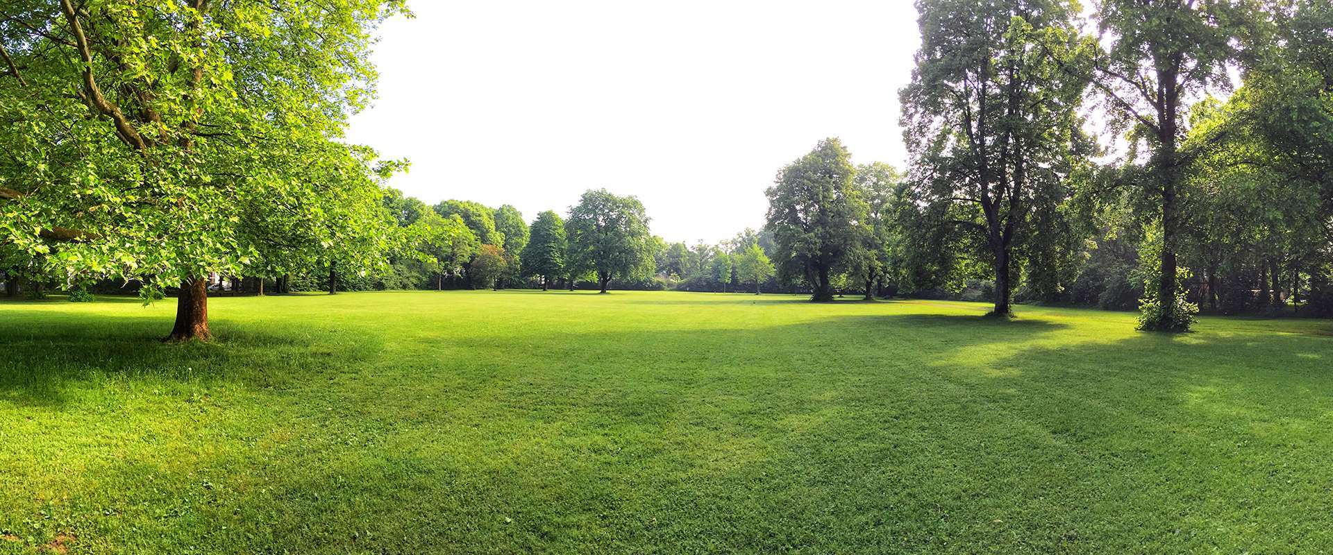 Residential Lots Stracke Land & Realty