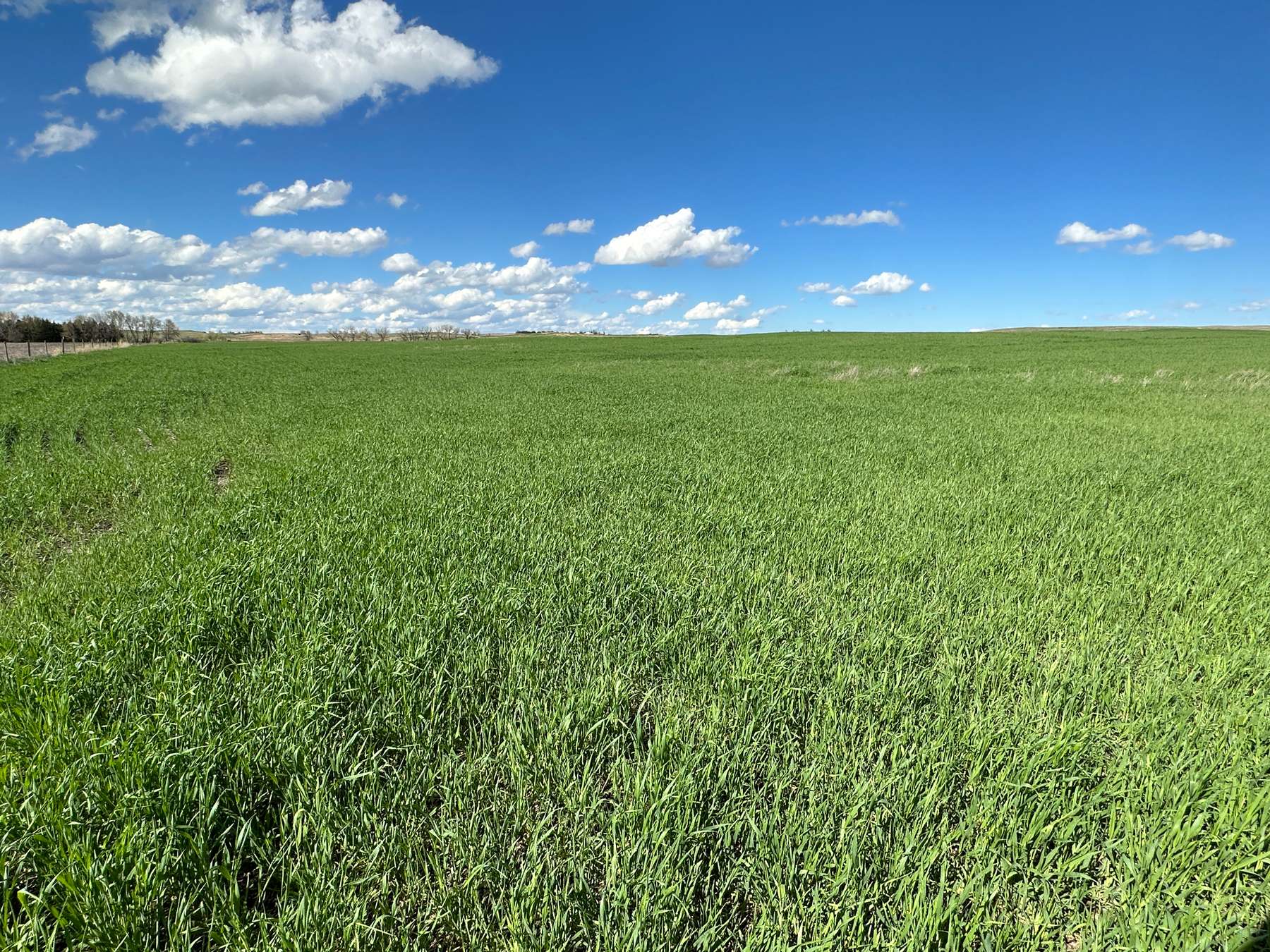 480 Acres, Keya Paha County, NE