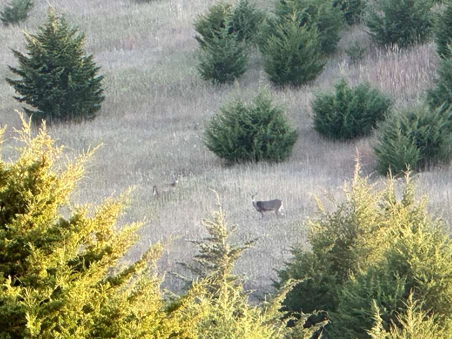 140.72 Acres, Boyd County, Nebraska