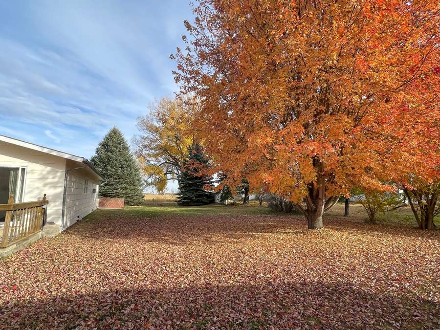 203 Canenburg Street, Bassett, NE 68714