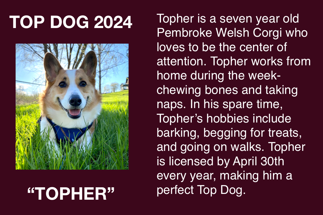 Dog License Information Town of Strafford NH