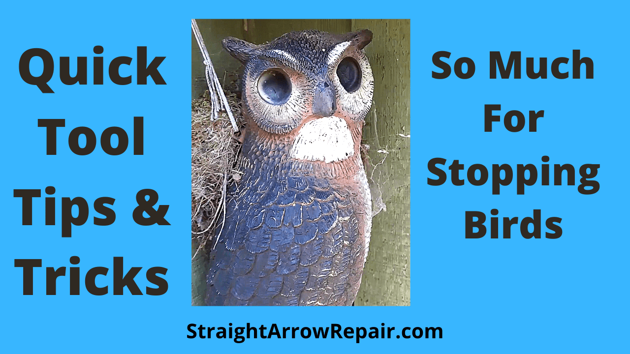 Owl Decoy Not Scaring Birds Straight Arrow Repair