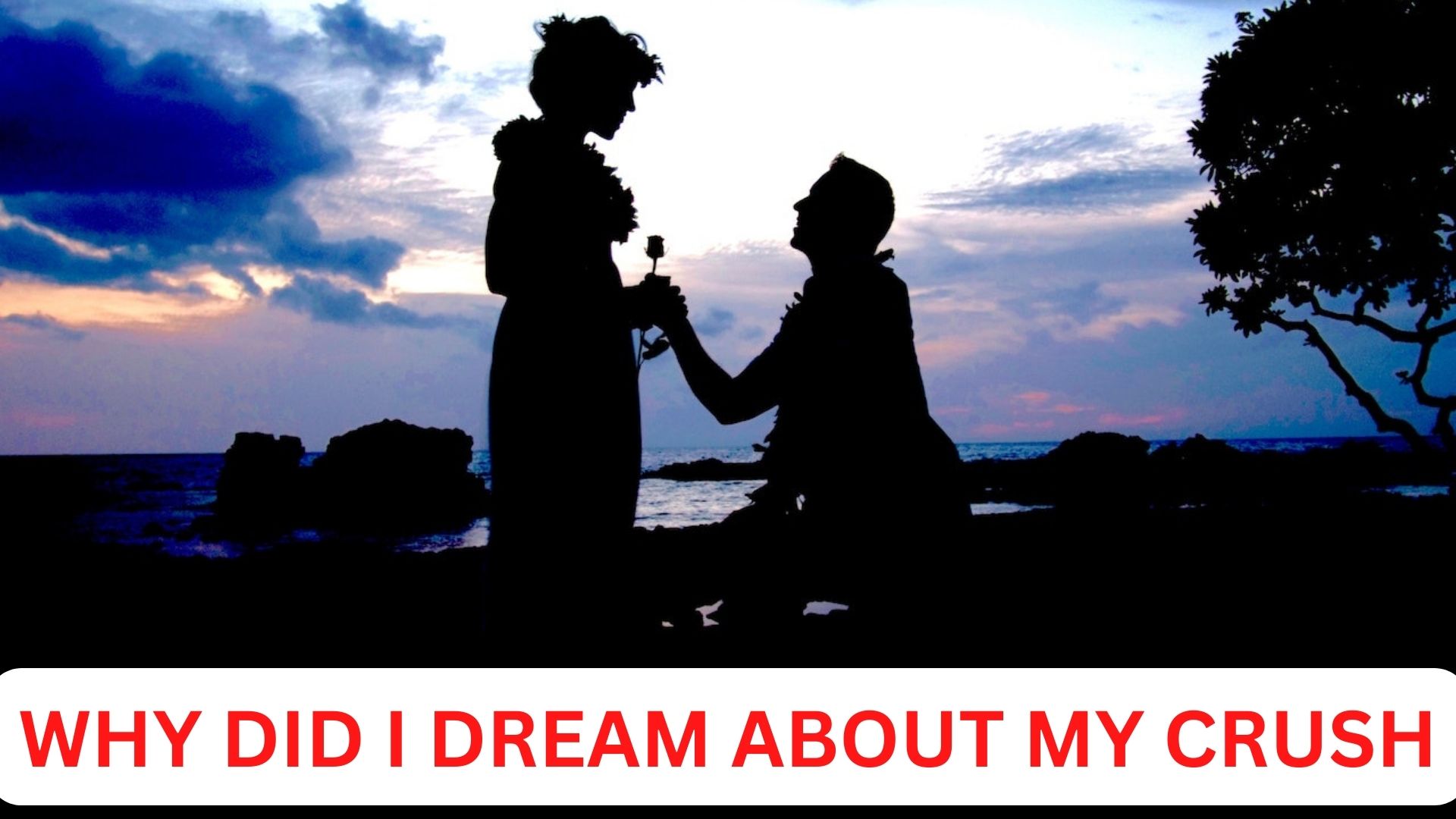 Why Did I Dream About My Crush? Feeling Positive About Yourself