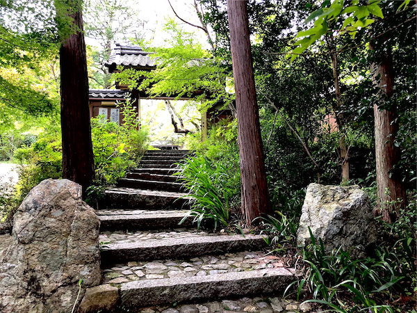 お寺でアウトドアワーケーション！京都・亀岡の神蔵寺に「SUN神蔵寺」がオープン ストレートプレス：STRAIGHT PRESS 流行