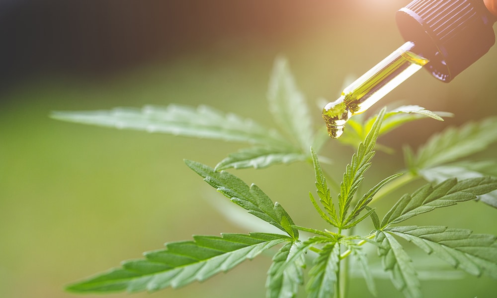 Does CBD Oil Have THC Strain Cannabis Dispensary