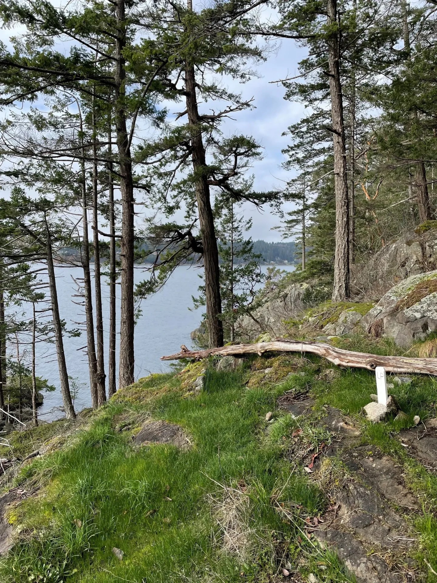 Demystifying Land Survey Terms Strait Land Surveying Inc