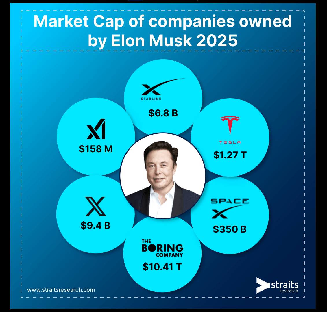 Elon Musk: Inside the Business Empire of the Tesla CEO