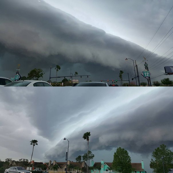 Monster shelf cloud engulfs Florida on Good Friday pictures Strange