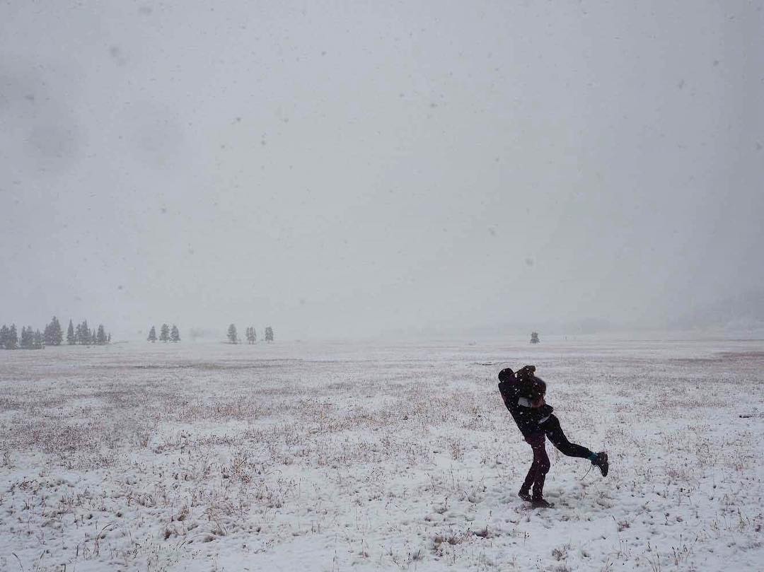 September snowstorm in Yellowstone in pictures and videos