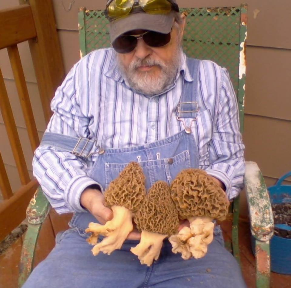 Monster Morels Found in Southern Iowa picture Strange Sounds