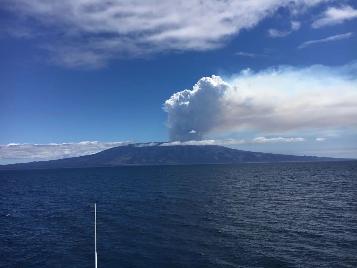After 8 years of calm, La Cumbre volcano erupts at the Fernandina