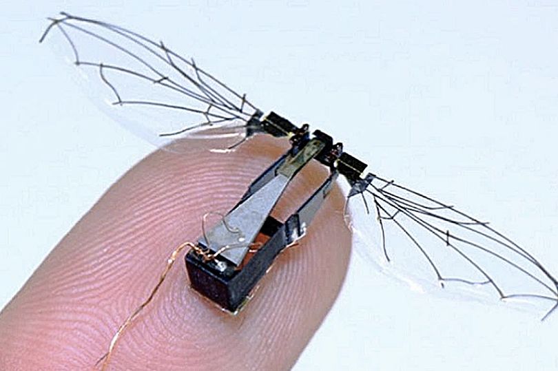 Robot bees Beesized drones to pollinate crops Strange Sounds