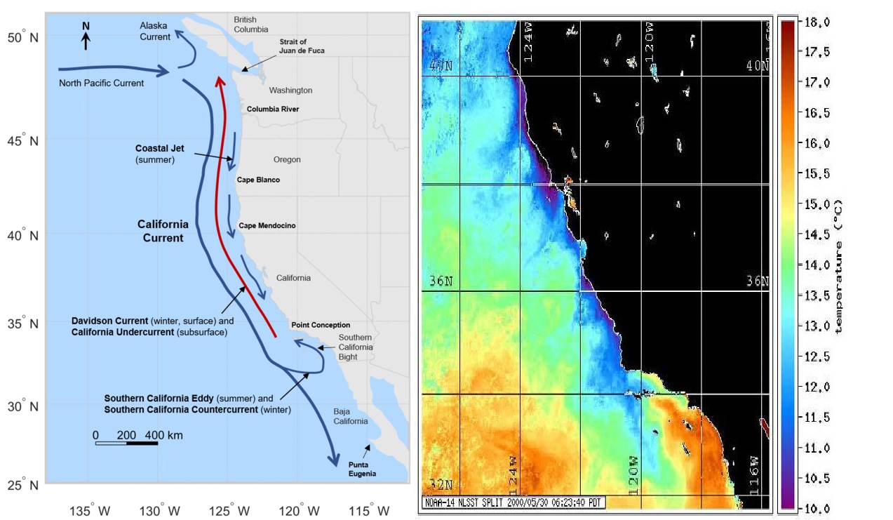 California Current System is collapsing Enormous disruption predicted
