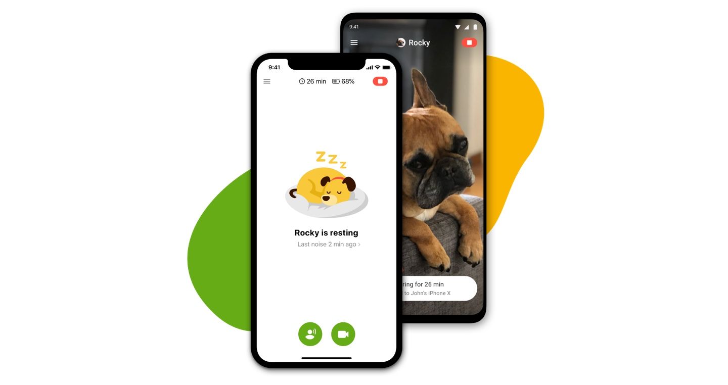 Can Dogs See Phone Screens