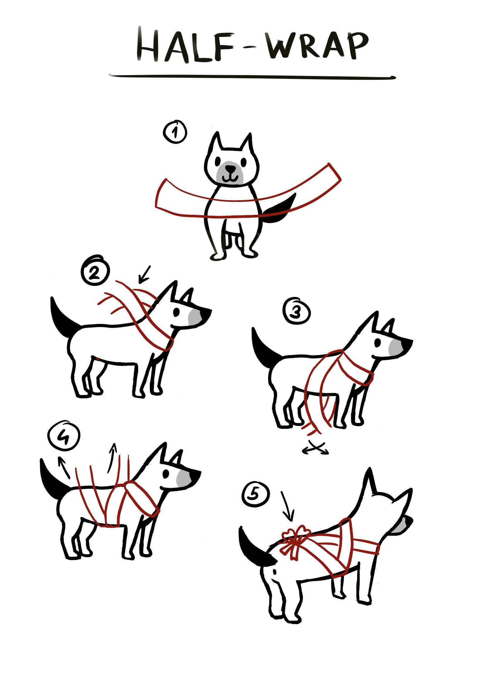 Barkio Dog Monitor How to spend a stressfree New Year's Eve