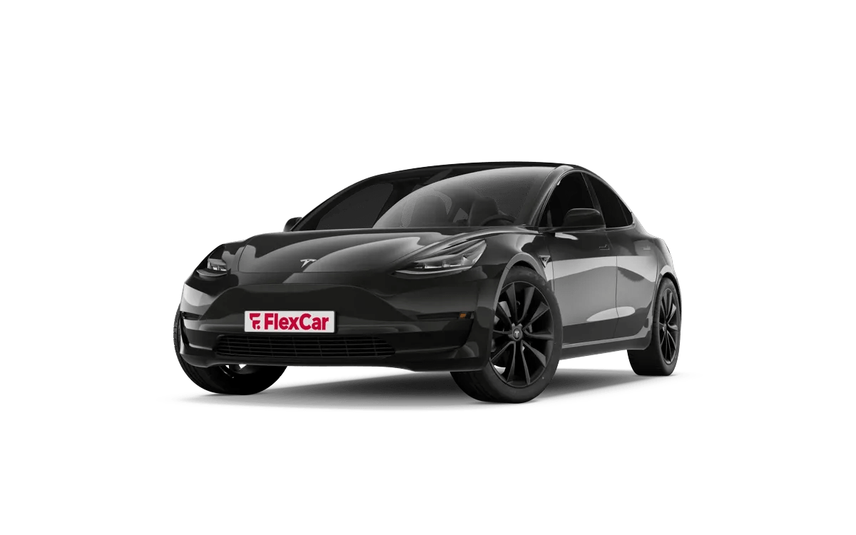 Tesla Model 3 Long Range FlexCar